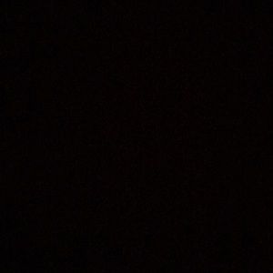 Meet your Posher, Jay jay